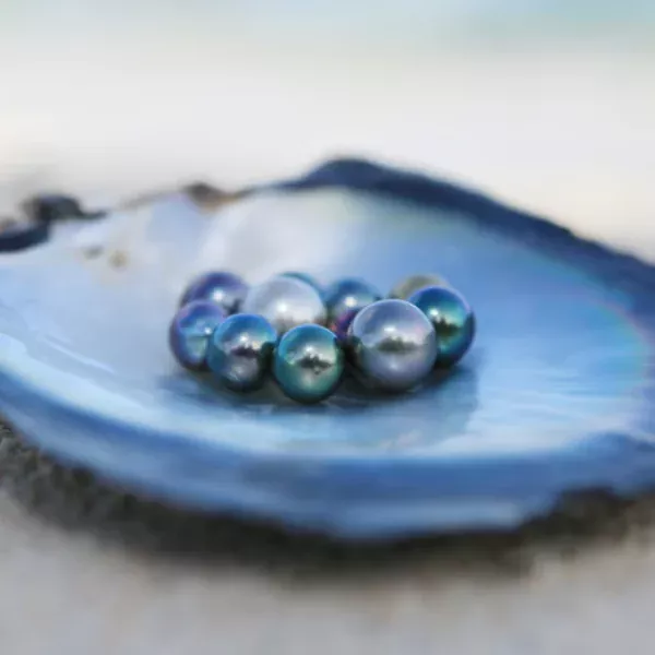 Discovering Blue Tahitian Pearls: A Unique Twist on Classic Elegance
